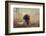 Beautiful Aragorn-Heike Willers-Framed Photographic Print