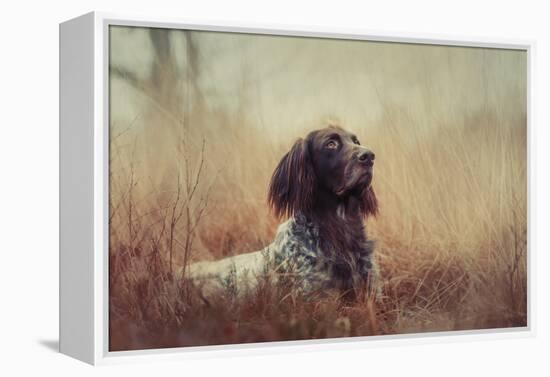 Beautiful Aragorn-Heike Willers-Framed Premier Image Canvas