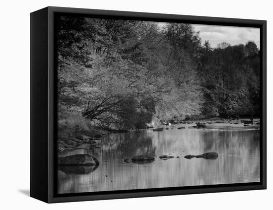 Beautiful Autumn Colours Reflecting in the River Creuse, a Favourite Area of the River of the Artis-Julian Elliott-Framed Premier Image Canvas