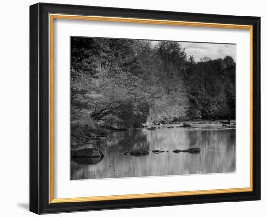 Beautiful Autumn Colours Reflecting in the River Creuse, a Favourite Area of the River of the Artis-Julian Elliott-Framed Photographic Print