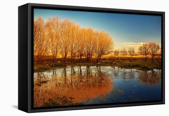 Beautiful Autumn Landscape, Dry Trees, Blue Sky, Tree Reflected in Lake, Seasons Change, Sunny Day,-Anna Omelchenko-Framed Premier Image Canvas