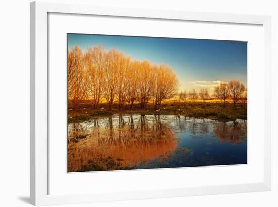 Beautiful Autumn Landscape, Dry Trees, Blue Sky, Tree Reflected in Lake, Seasons Change, Sunny Day,-Anna Omelchenko-Framed Photographic Print