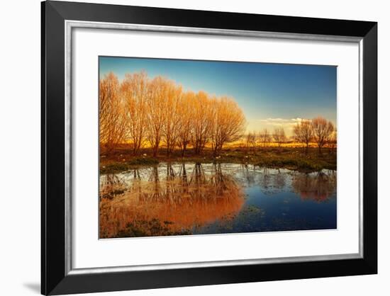 Beautiful Autumn Landscape, Dry Trees, Blue Sky, Tree Reflected in Lake, Seasons Change, Sunny Day,-Anna Omelchenko-Framed Photographic Print