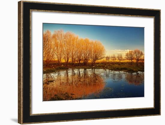 Beautiful Autumn Landscape, Dry Trees, Blue Sky, Tree Reflected in Lake, Seasons Change, Sunny Day,-Anna Omelchenko-Framed Photographic Print