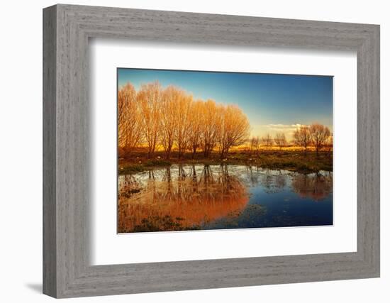 Beautiful Autumn Landscape, Dry Trees, Blue Sky, Tree Reflected in Lake, Seasons Change, Sunny Day,-Anna Omelchenko-Framed Photographic Print