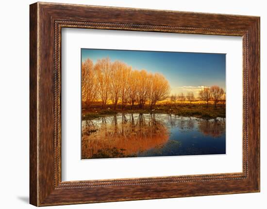 Beautiful Autumn Landscape, Dry Trees, Blue Sky, Tree Reflected in Lake, Seasons Change, Sunny Day,-Anna Omelchenko-Framed Photographic Print