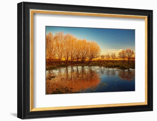 Beautiful Autumn Landscape, Dry Trees, Blue Sky, Tree Reflected in Lake, Seasons Change, Sunny Day,-Anna Omelchenko-Framed Photographic Print