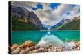 Stretched Canvas Print