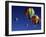 Beautiful Balloons-null-Framed Photographic Print