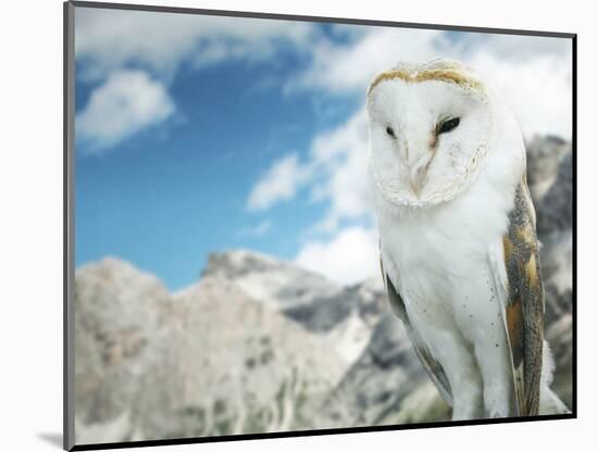 Beautiful Barn Owl in to the Wild Nature-Valentina Photos-Mounted Photographic Print