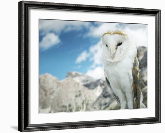 Beautiful Barn Owl in to the Wild Nature-Valentina Photos-Framed Photographic Print