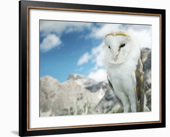 Beautiful Barn Owl in to the Wild Nature-Valentina Photos-Framed Photographic Print