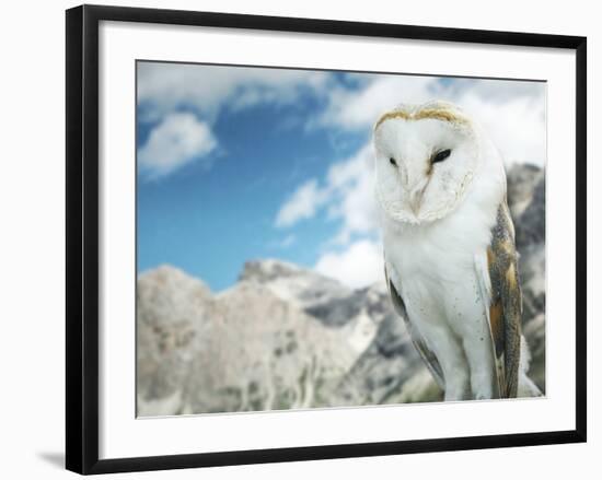 Beautiful Barn Owl in to the Wild Nature-Valentina Photos-Framed Photographic Print