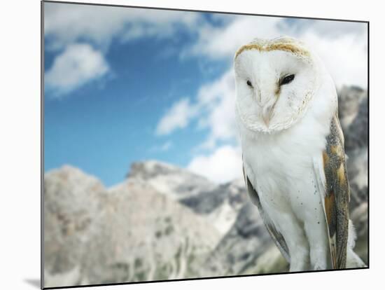 Beautiful Barn Owl in to the Wild Nature-Valentina Photos-Mounted Photographic Print