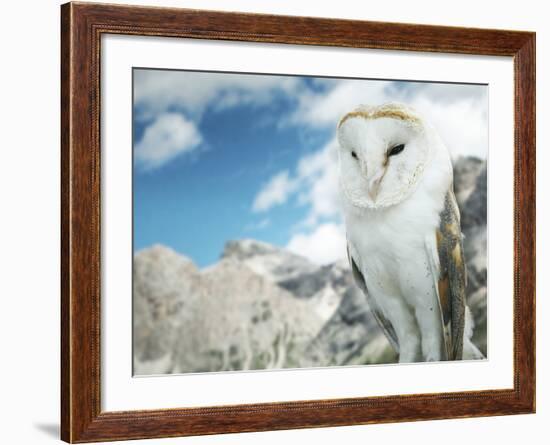 Beautiful Barn Owl in to the Wild Nature-Valentina Photos-Framed Photographic Print