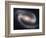 Beautiful Barred Spiral Galaxy NGC 1300, Hubble Space Telescope-Stocktrek Images-Framed Photographic Print