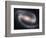 Beautiful Barred Spiral Galaxy NGC 1300, Hubble Space Telescope-Stocktrek Images-Framed Photographic Print