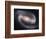 Beautiful Barred Spiral Galaxy NGC 1300, Hubble Space Telescope-Stocktrek Images-Framed Photographic Print