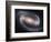 Beautiful Barred Spiral Galaxy NGC 1300, Hubble Space Telescope-Stocktrek Images-Framed Photographic Print