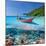 Beautiful Beach and Motor Boat with Coral Reef Bottom Underwater and above Water Split View-haveseen-Mounted Photographic Print