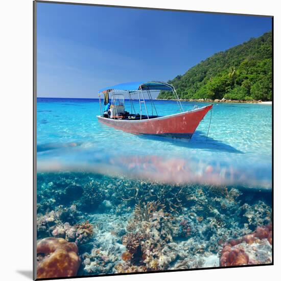 Beautiful Beach and Motor Boat with Coral Reef Bottom Underwater and above Water Split View-haveseen-Mounted Photographic Print