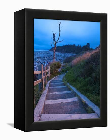 Beautiful Beach Area at Dusk, Kalaloch Lodge on the Olympic Coast, Washington, Usa-Michele Westmorland-Framed Premier Image Canvas