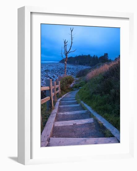 Beautiful Beach Area at Dusk, Kalaloch Lodge on the Olympic Coast, Washington, Usa-Michele Westmorland-Framed Photographic Print