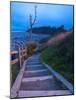 Beautiful Beach Area at Dusk, Kalaloch Lodge on the Olympic Coast, Washington, Usa-Michele Westmorland-Mounted Photographic Print