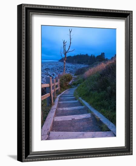 Beautiful Beach Area at Dusk, Kalaloch Lodge on the Olympic Coast, Washington, Usa-Michele Westmorland-Framed Photographic Print