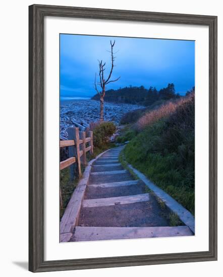 Beautiful Beach Area at Dusk, Kalaloch Lodge on the Olympic Coast, Washington, Usa-Michele Westmorland-Framed Photographic Print