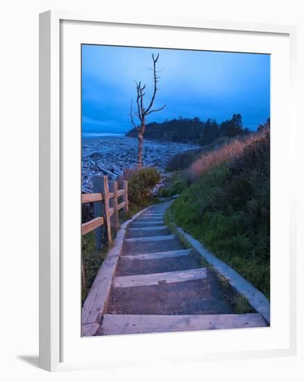 Beautiful Beach Area at Dusk, Kalaloch Lodge on the Olympic Coast, Washington, Usa-Michele Westmorland-Framed Photographic Print