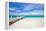 Beautiful Beach at Caribbean Providenciales Island in Turks and Caicos-BlueOrange Studio-Framed Premier Image Canvas