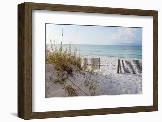 Beautiful Beach at Sunrise-forestpath-Framed Premium Photographic Print