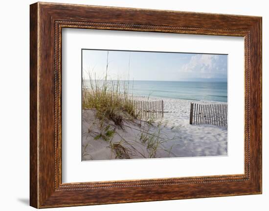 Beautiful Beach at Sunrise-forestpath-Framed Premium Photographic Print