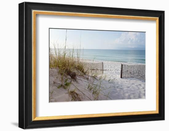 Beautiful Beach at Sunrise-forestpath-Framed Premium Photographic Print