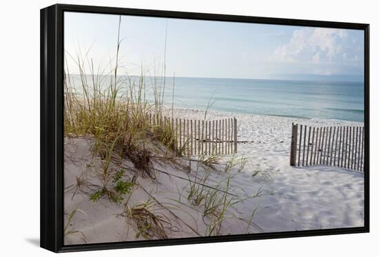 Beautiful Beach at Sunrise-forestpath-Framed Premier Image Canvas