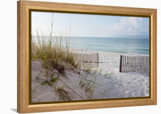 Beautiful Beach at Sunrise-forestpath-Framed Premier Image Canvas