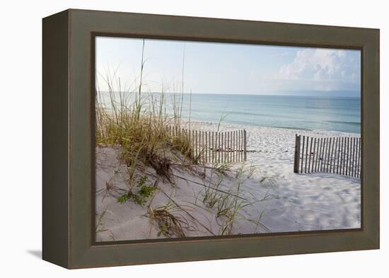 Beautiful Beach at Sunrise-forestpath-Framed Premier Image Canvas