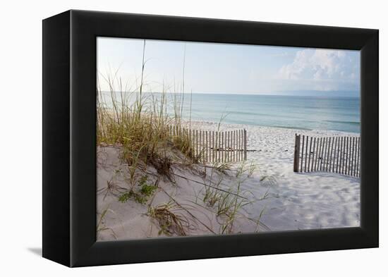 Beautiful Beach at Sunrise-forestpath-Framed Premier Image Canvas