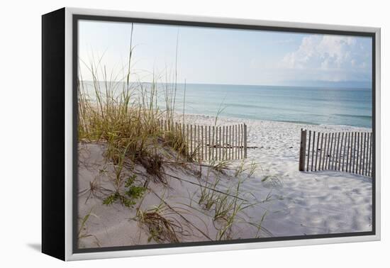 Beautiful Beach at Sunrise-forestpath-Framed Premier Image Canvas