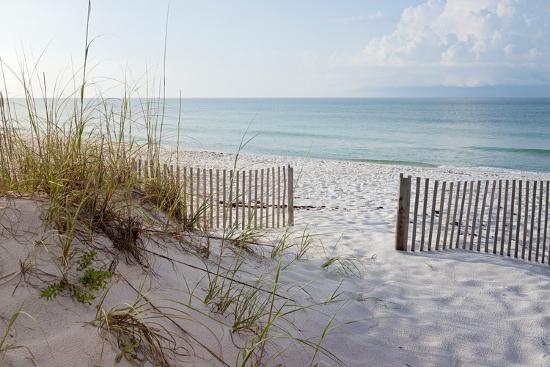 Beautiful Beach At Sunrise Photographic Print Forestpath Art Com Beautiful Beach At Sunrise Photographic Print Forestpath Art Com
