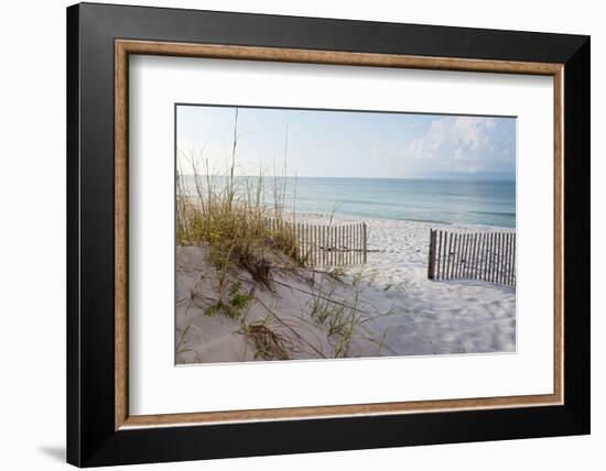 Beautiful Beach at Sunrise-forestpath-Framed Photographic Print