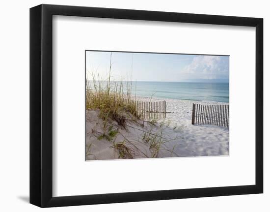 Beautiful Beach at Sunrise-forestpath-Framed Photographic Print