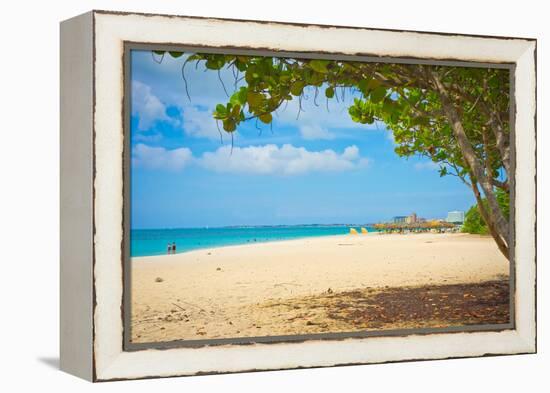 Beautiful Beach in Aruba, Caribbean Islands, Lesser Antilles-mffoto-Framed Premier Image Canvas