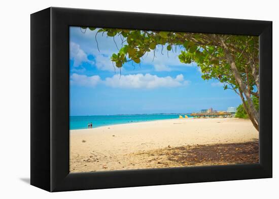 Beautiful Beach in Aruba, Caribbean Islands, Lesser Antilles-mffoto-Framed Premier Image Canvas