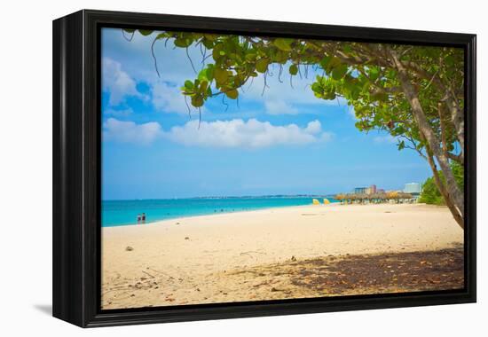 Beautiful Beach in Aruba, Caribbean Islands, Lesser Antilles-mffoto-Framed Premier Image Canvas