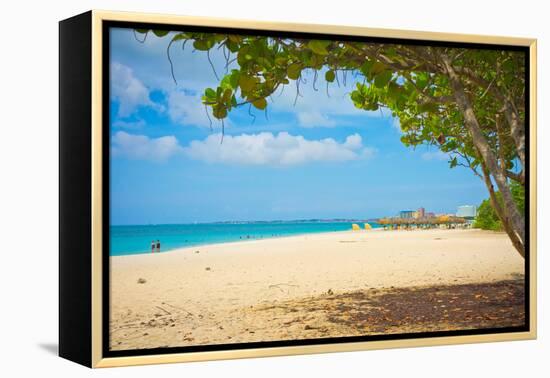 Beautiful Beach in Aruba, Caribbean Islands, Lesser Antilles-mffoto-Framed Premier Image Canvas