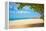 Beautiful Beach in Aruba, Caribbean Islands, Lesser Antilles-mffoto-Framed Premier Image Canvas