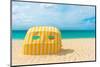 Beautiful Beach in Aruba, Caribbean Islands, Lesser Antilles-mffoto-Mounted Photographic Print