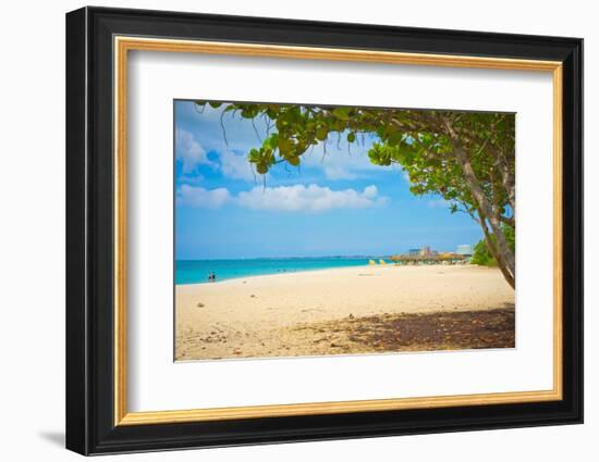 Beautiful Beach in Aruba, Caribbean Islands, Lesser Antilles-mffoto-Framed Photographic Print